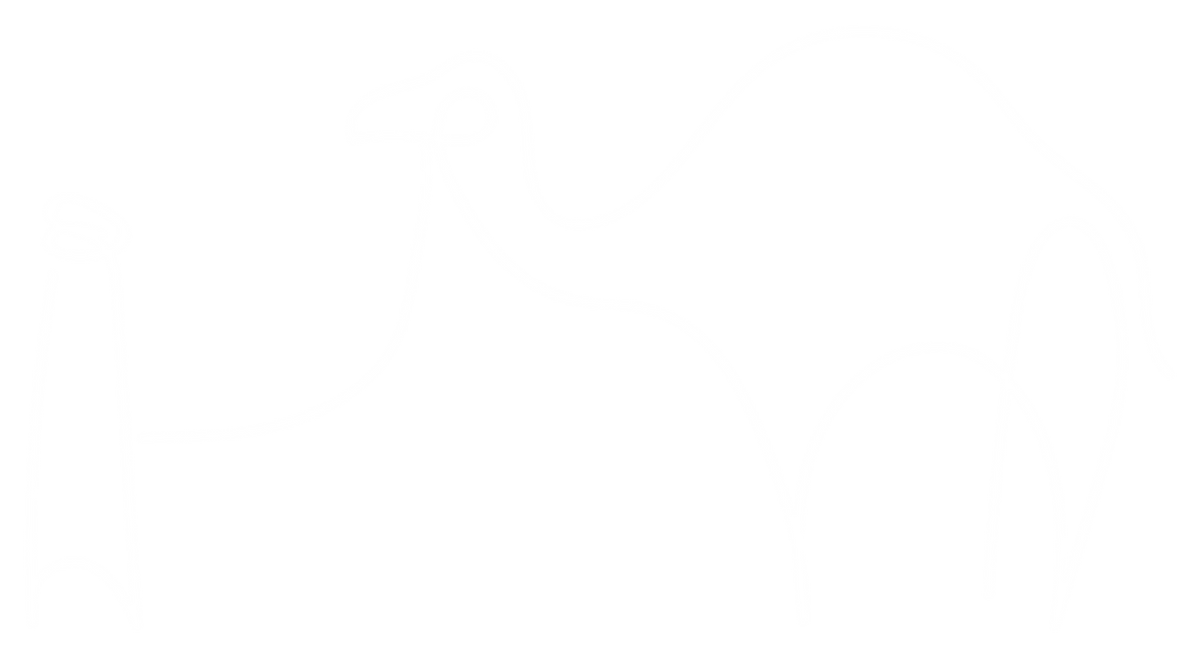 Logo Les Nomades de Marrakech